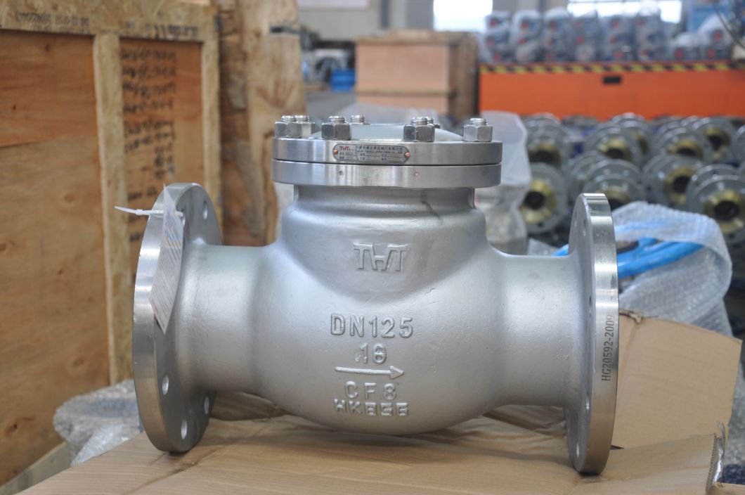 Vertical Horizontal Water Full Opening Swing Wcb or Stainless Steel Investment Casting Flange Non Return Check Valve