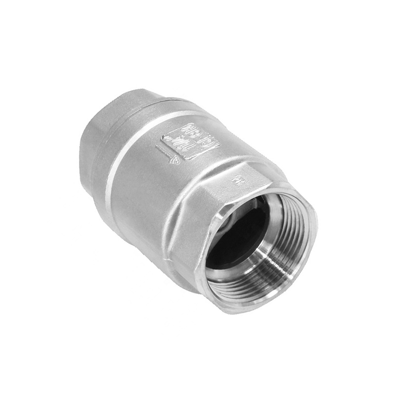 Industrial Stainless Steel High Quality 2PC Spring Loaded Check Valve