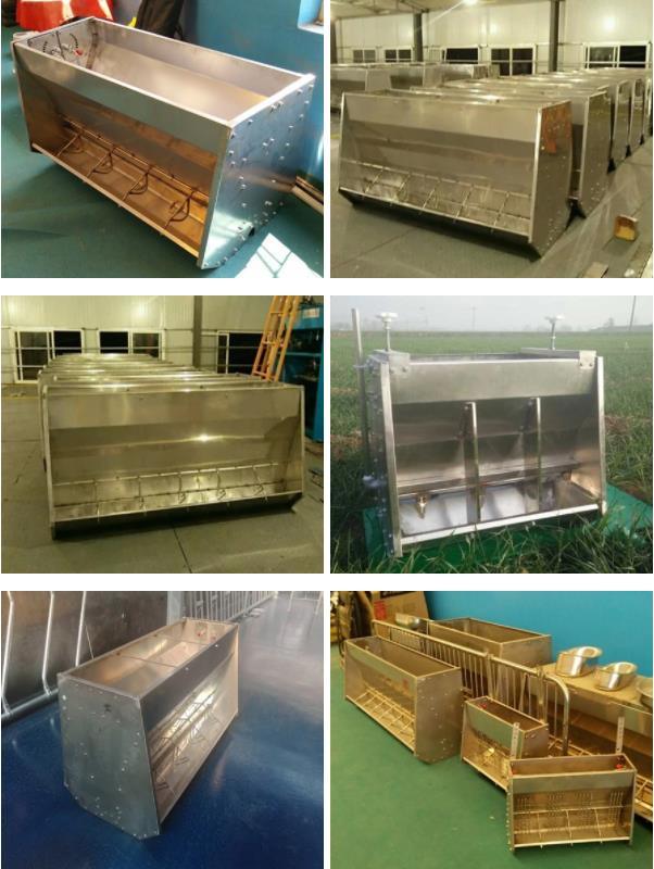 Pig Farm Stainless Steel Fattening Pig Feeder Trough China Factory Direct Supply Livestock Equipment/ Poultry Equipment/ Agricultural Equipment